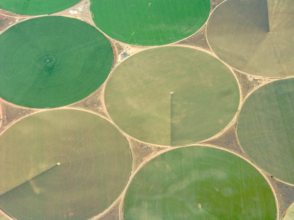 Crop_circles_2